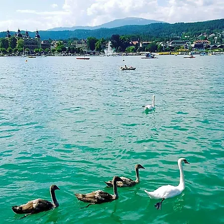Superior-apartment Mit Pool Und Seezugang * Velden am Wörthersee